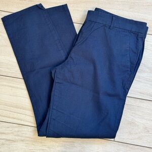 GAP Blue Striped Skinny Cropped Khakis